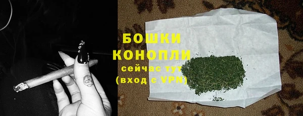 индика Надым
