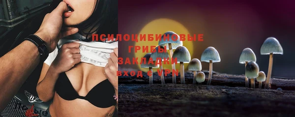 дурь Нефтегорск
