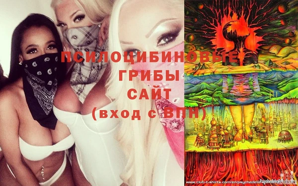 ГАЛЛЮЦИНОГЕННЫЕ ГРИБЫ Новодвинск