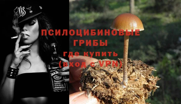 дурь Нефтегорск