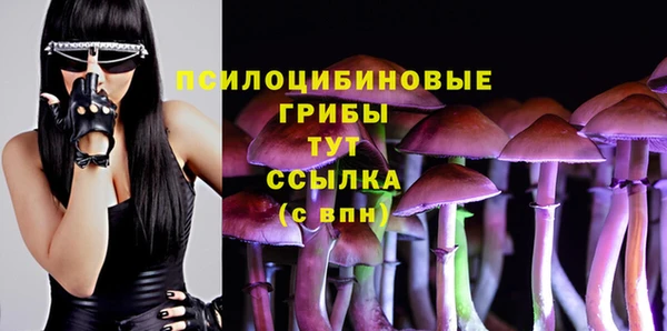 ECSTASY Нефтекумск