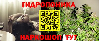 бошки Заволжье