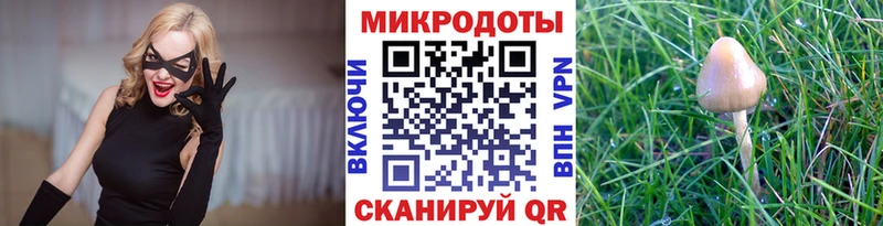 сколько стоит  Петровск  МЕГА ТОР  Галлюциногенные грибы GOLDEN TEACHER 