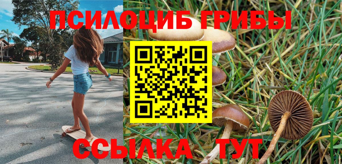 Псилоцибиновые грибы MAGIC MUSHROOMS  купить наркотик  Петровск  Вход с VPN 