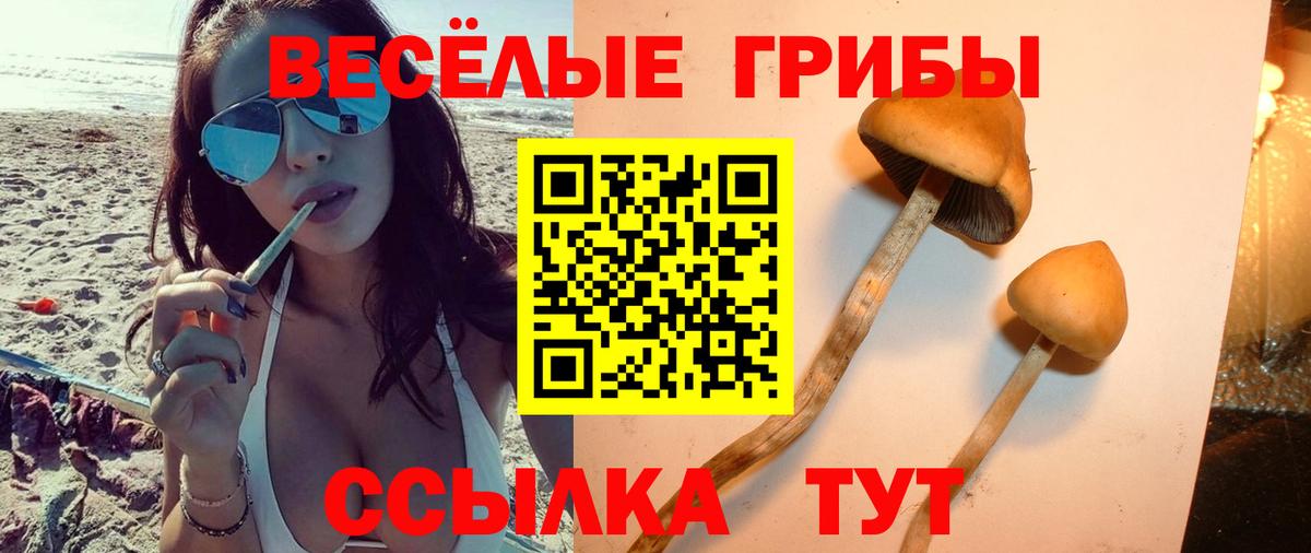 Галлюциногенные грибы GOLDEN TEACHER Петровск